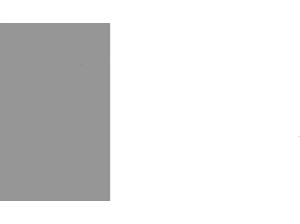 Volkswagen Polo VI 1.0 TSI Highline LM SHZ W-Paket PDC AUT