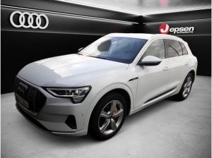Audi e-tron advanced 55 qu. HUD Matrix AHK NSicht