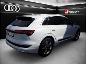 Audi e-tron advanced 55 qu. HUD Matrix AHK NSicht