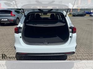 Kia Ceed SW Ceed Sportswagon 1.0 T-GDI Ultimate Edition + Totwinkelassistent