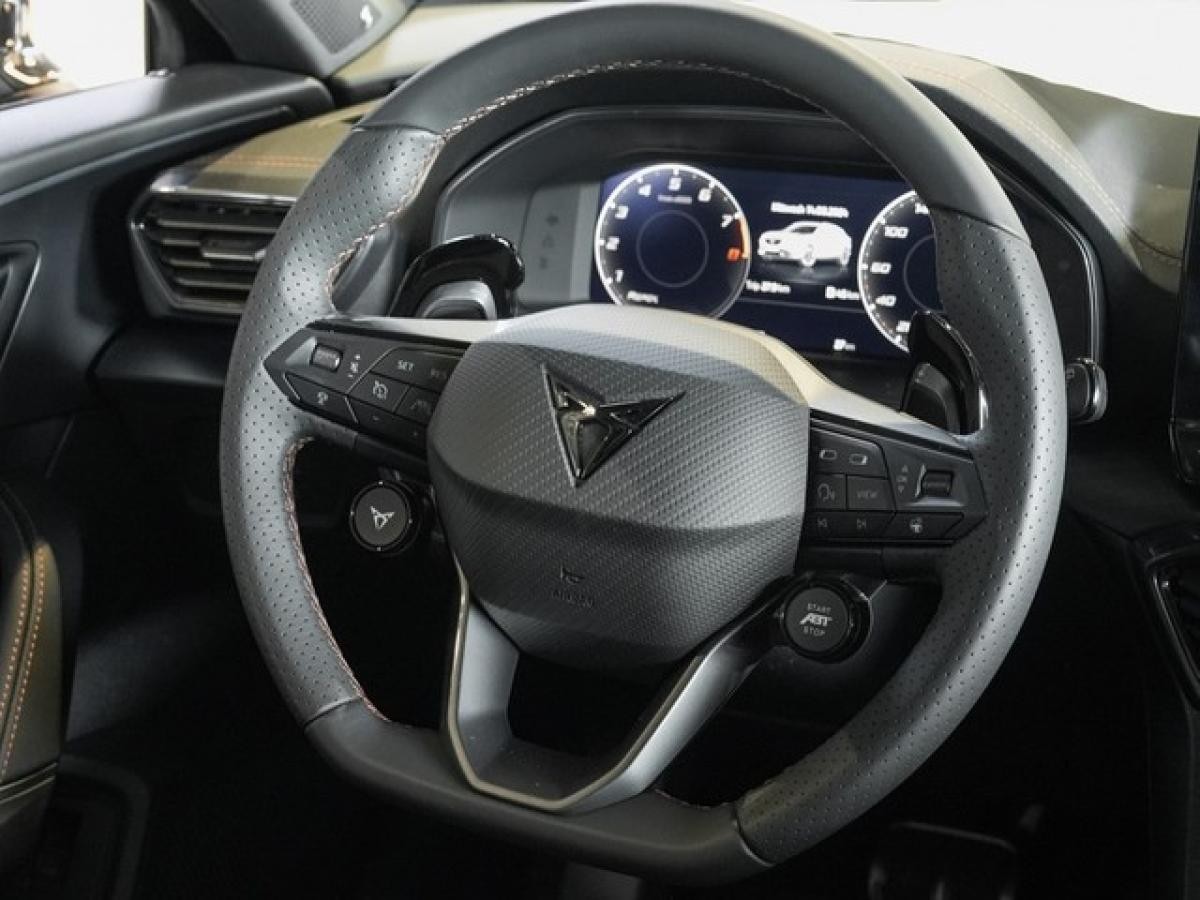 Cupra Formentor VZ5 BAT EDITION ABT 360°, Option