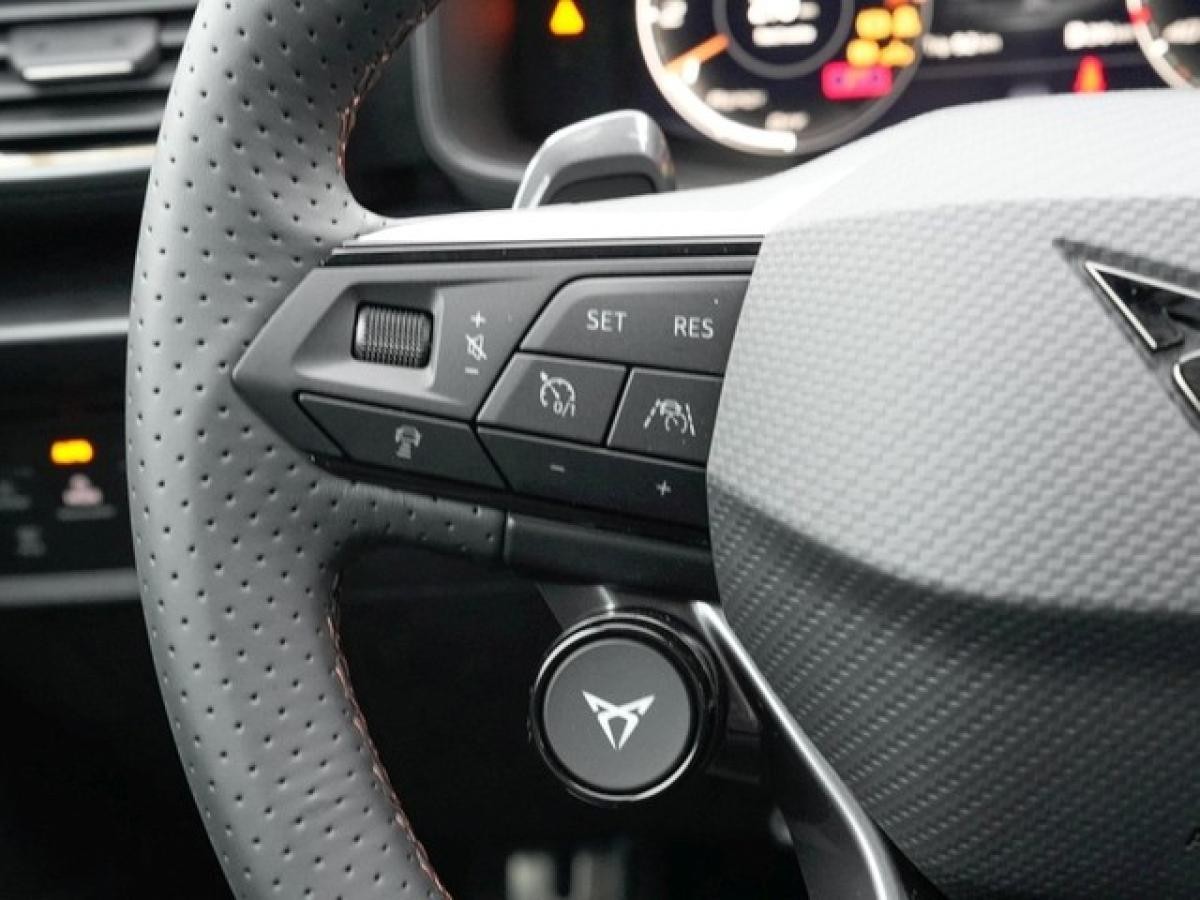 Cupra Formentor VZ5 BAT EDITION ABT 360°, Option