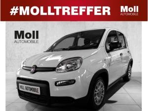 Fiat Panda | MILD HYBRID |  TECHPAKET |***SOFORT VERFÜGBAR***