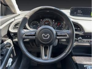 Mazda CX-30 SKYACTIV-X 2.0 M HYBRID AWD 6GS AL-SELECTION A18-B DES-P PRE-P