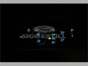 Ford Ranger 2.0 Wildtrak Doppelkabine *AWD *IACC*360CAM