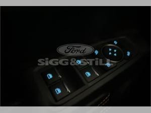 Ford Ranger 2.0 Wildtrak Doppelkabine *AWD *IACC*360CAM