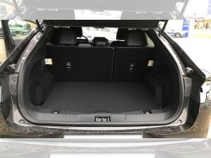 Ford Mustang Mach-E Basis Extended Range