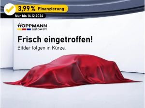 Abarth 500 e Scorpionissima *SOFORT VERFÜGBAR*