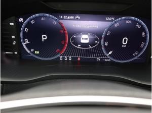 Skoda Karoq Selection 2.0 TDI DSG / Navi,SmartLink,RFK