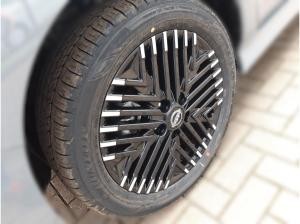 Nissan Leaf e+ 62kWh N-Connecta ❗OHNE ANZAHLUNG❗