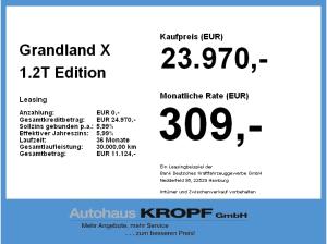 Opel Grandland X 1.2T LED,Sitzheiz,Parkpilot,DAB,USB,