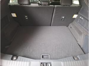 Ford Mustang Mach-E Mustang MACH-E Technologie-Paket+ & Panoramadach