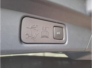 Ford Mustang Mach-E Mustang MACH-E Technologie-Paket+ & Panoramadach