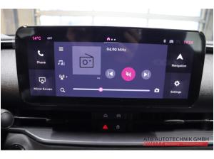 Fiat 600 1.2 Hybrid Business Edition DCT Ganzjahresreifen