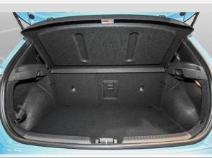 Hyundai i30 N Performance 2.0 T-GDi // ASSIST.-PAKET // PANO // KOMFORT-PAKET