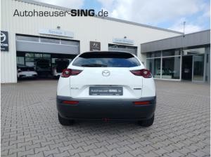 Mazda MX-30 Elektro Advantage Head-Up Memory AppleCar ab 3,33%