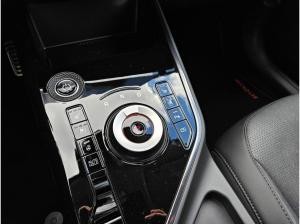 Kia Niro EV Vision 64,8kWh- Leder-Style-Komfort - Verfügbar - Aktion 🚗