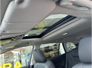 Subaru OUTBACK Platinum *Leder+Schiebdach+uvm.*