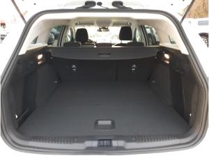 Ford Focus Active Turnier 1.0 EcoBoost MHEV SHZ