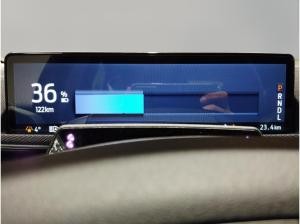 Ford Mustang Mach-E Privat & Gewerbekunden Km anpassbar !!!