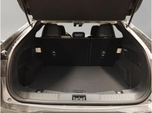 Ford Mustang Mach-E Privat & Gewerbekunden Km anpassbar !!!