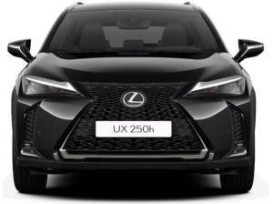 Lexus UX-300h UX 300h F-Sport Design +Navi+R.Kam+Tahara-Leder