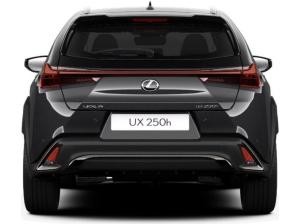 Lexus UX-300h UX 300h F-Sport Design +Navi+R.Kam+Tahara-Leder