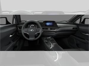 Lexus UX-300h UX 300h F-Sport Design +Navi+R.Kam+Tahara-Leder