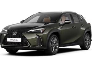 Lexus UX-300h UX 300h F-Sport Design LEASING DEAL SONDERAKTION