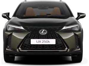 Lexus UX-300h UX 300h F-Sport Design LEASING DEAL SONDERAKTION