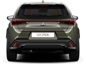 Lexus UX-300h UX 300h F-Sport Design LEASING DEAL SONDERAKTION