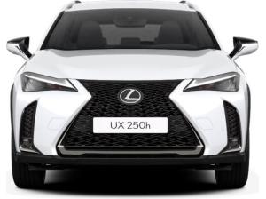 Lexus UX-300h UX 300h F-Sport Design +MY24+Navi+R.Kam+Leder