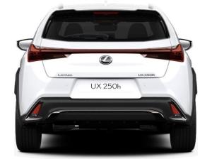Lexus UX-300h UX 300h F-Sport Design +MY24+Navi+R.Kam+Leder