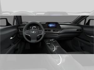 Lexus UX-300h UX 300h F-Sport Design +MY24+Navi+R.Kam+Leder