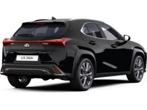 Lexus UX-300h F-Sport Design - sofort verfügbar