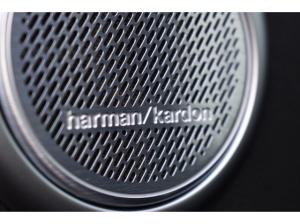 Alfa Romeo Stelvio Veloce Q4 2.0 Turbo - AHK - 21 Zoll- Panoramadach