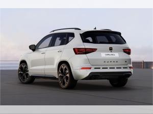 Cupra Ateca VZ 2.0 TSI 4 Drive | Automatik | Gewerbe