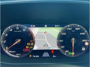 Cupra Formentor VZ 2.0 TSI Tribe Edition *SOFORT VERFÜGBAR*