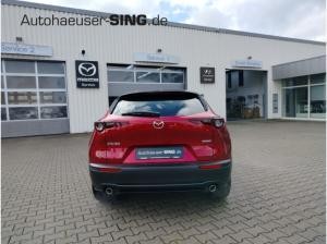 Mazda CX-30 Homura Automatik Keyless Induktion Kamera