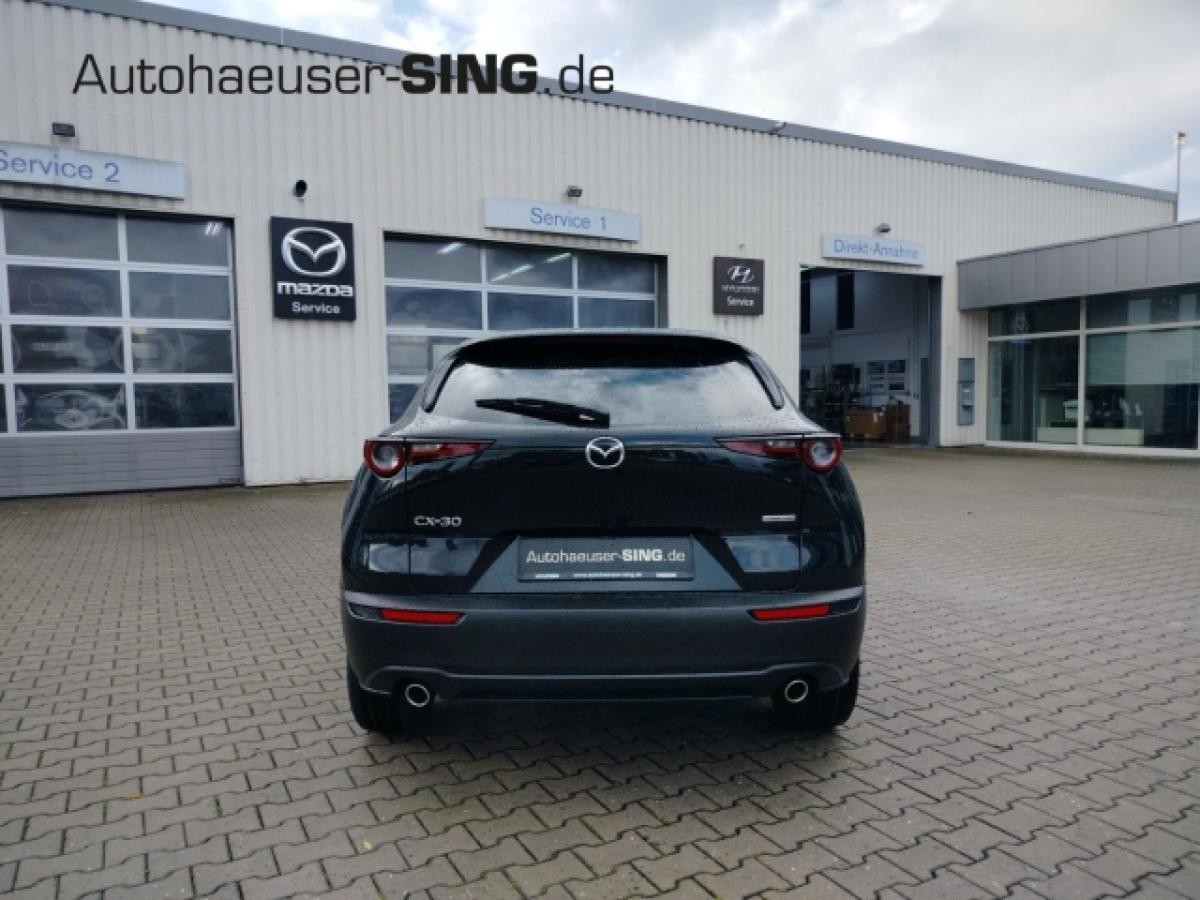 Mazda CX-30 Homura Automatik Keyless Induktion Kamera