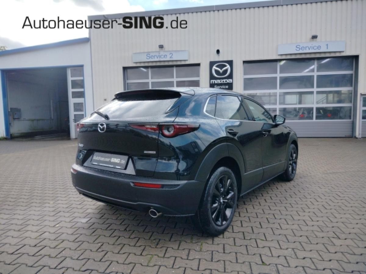 Mazda CX-30 Homura Automatik Keyless Induktion Kamera