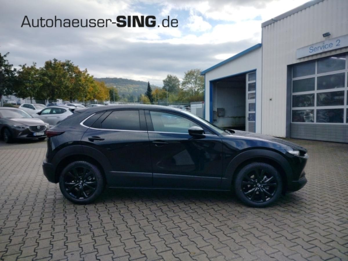 Mazda CX-30 Homura Automatik Keyless Induktion Kamera