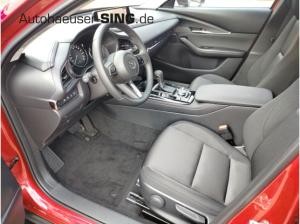 Mazda CX-30 Homura Automatik Keyless Induktion Kamera