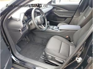 Mazda CX-30 Homura Automatik Keyless Induktion Kamera