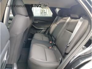 Mazda CX-30 Homura Automatik Keyless Induktion Kamera