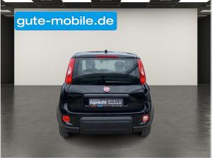 Fiat Panda 1.0 GSE N3 Hybrid (51 KW) 69 PS| Sofort Verfügbar