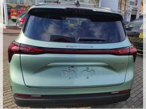 DFM Forthing 4 Gummimatten/Zulassung und erste Inspektion gratis