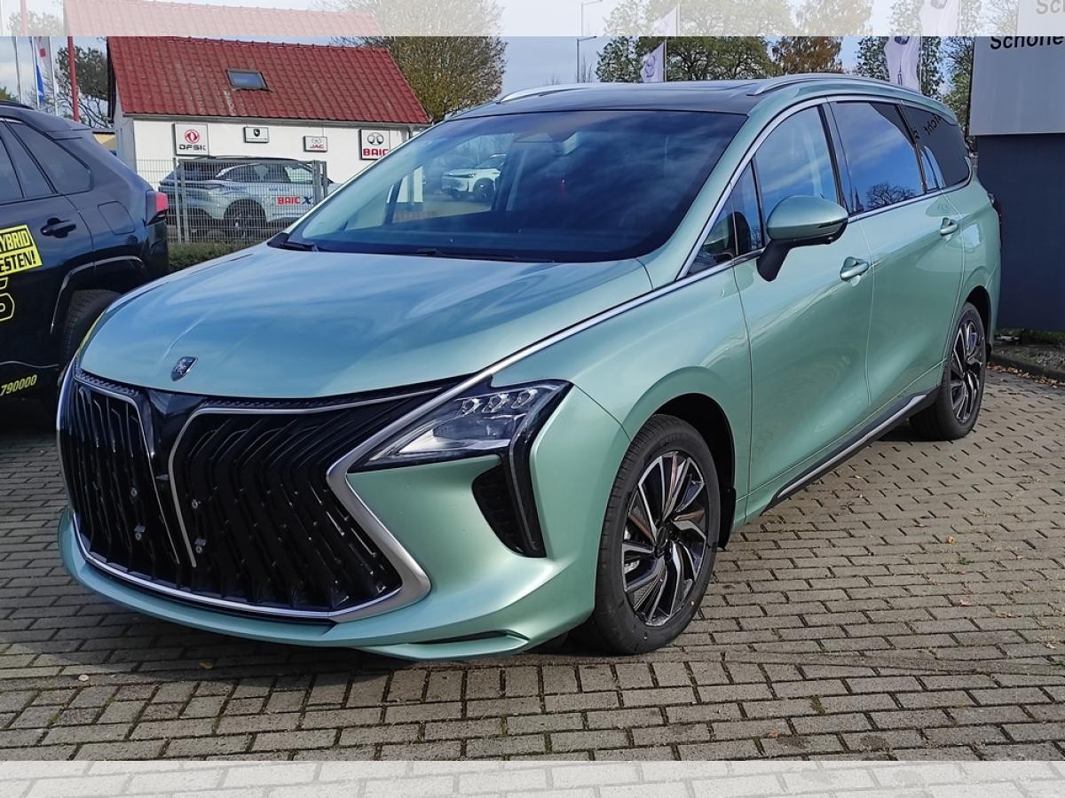 DFM Forthing 4 Gummimatten/Zulassung und erste Inspektion gratis