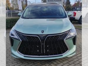 DFM Forthing 4 Gummimatten/Zulassung und erste Inspektion gratis