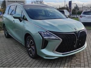 DFM Forthing 4 Gummimatten/Zulassung und erste Inspektion gratis